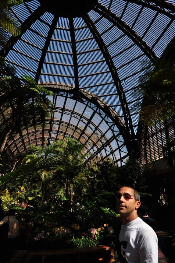 Dentro da estufa do Jardim Botânico no Balboa Park, em San Diego, no sul da Califórnia - Estados Unidos